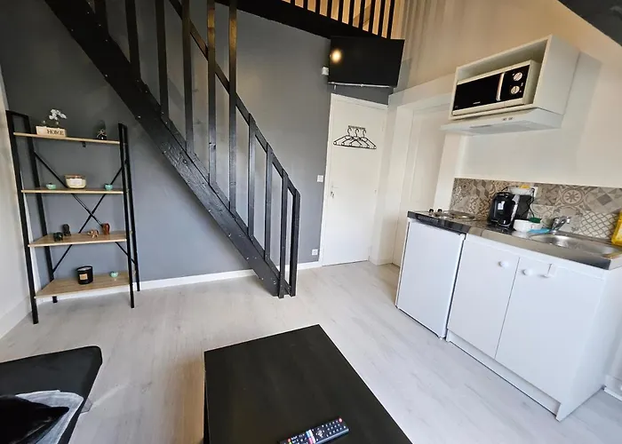 Bel Appartement Equipe Avec Mezzanine